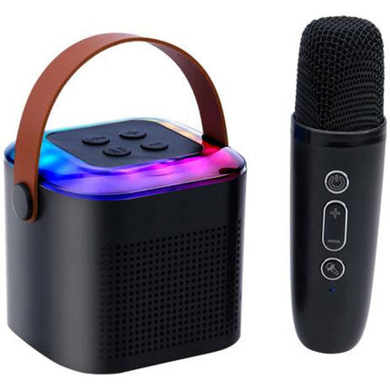 Mini Karaoke Set med högtalare och trådlös mikrofon